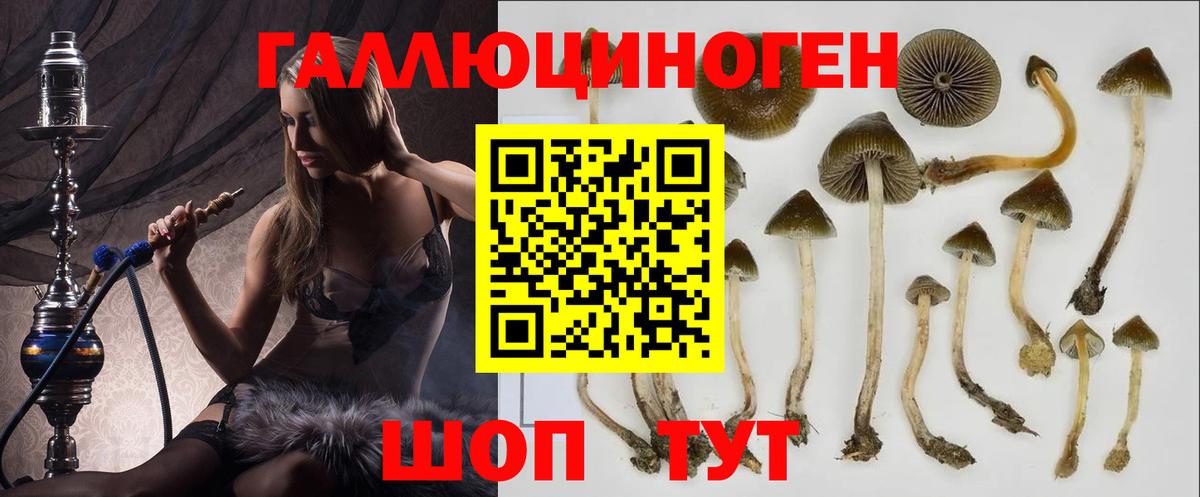 Галлюциногенные грибы мухоморы  Галлюциногенные грибы MAGIC MUSHROOMS  Вход с VPN  магазин    Назрань 