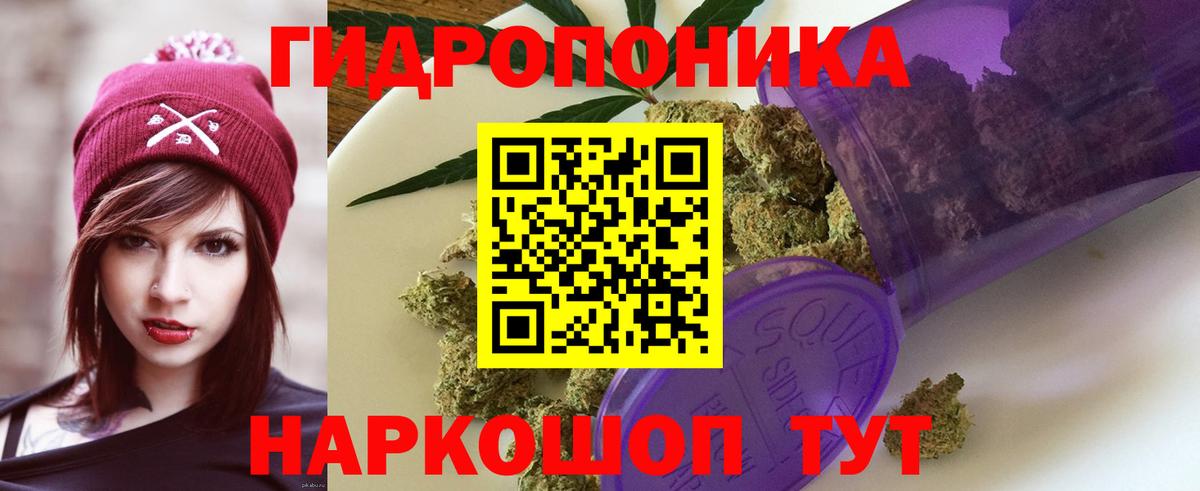 Каннабис SATIVA & INDICA  МАРИХУАНА семена  Назрань  Канабис тримм  Вход с VPN 